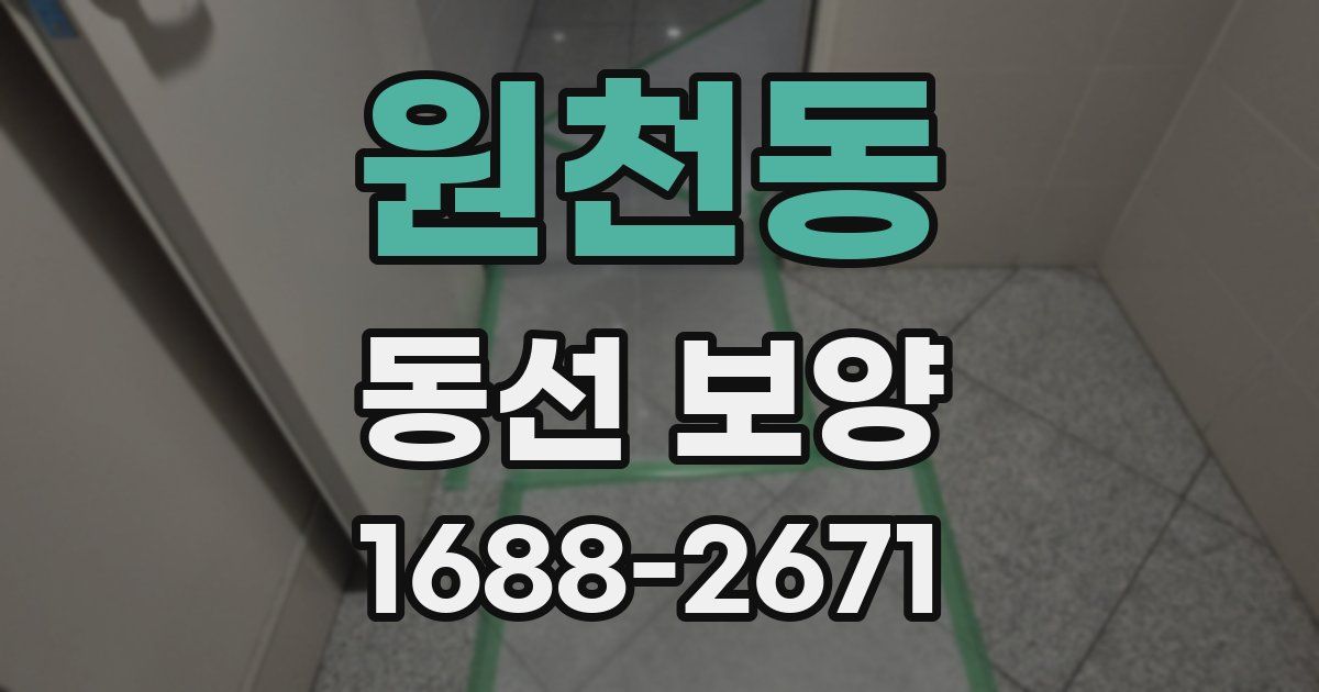 원천동 동선 보양