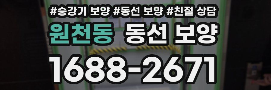 원천동 동선 보양