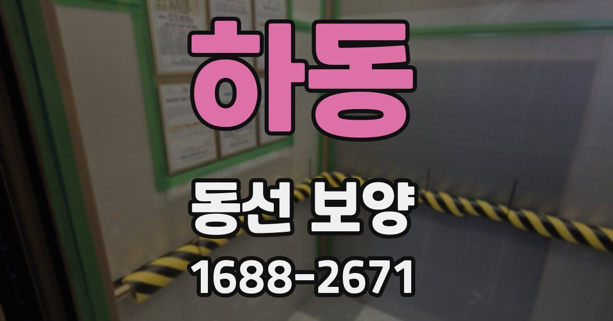 하동 동선 보양