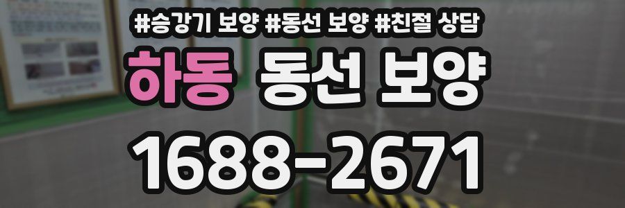 하동 동선 보양