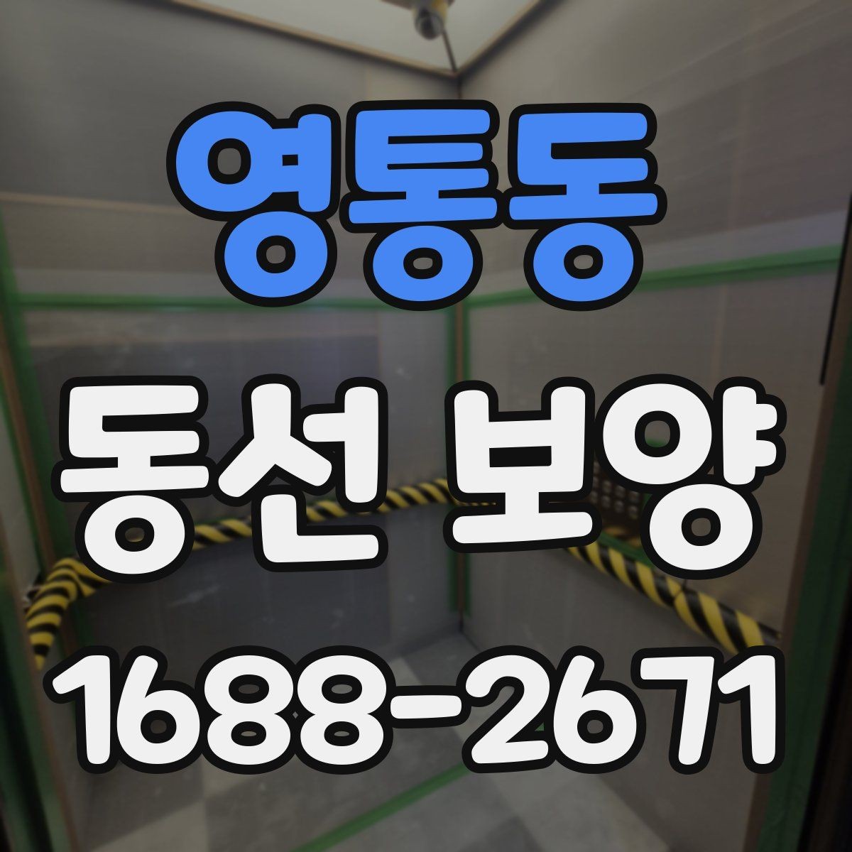 영통동 동선 보양 견적 비교할 때 살펴볼 포인트