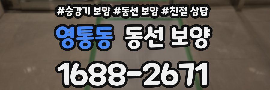 영통동 동선 보양