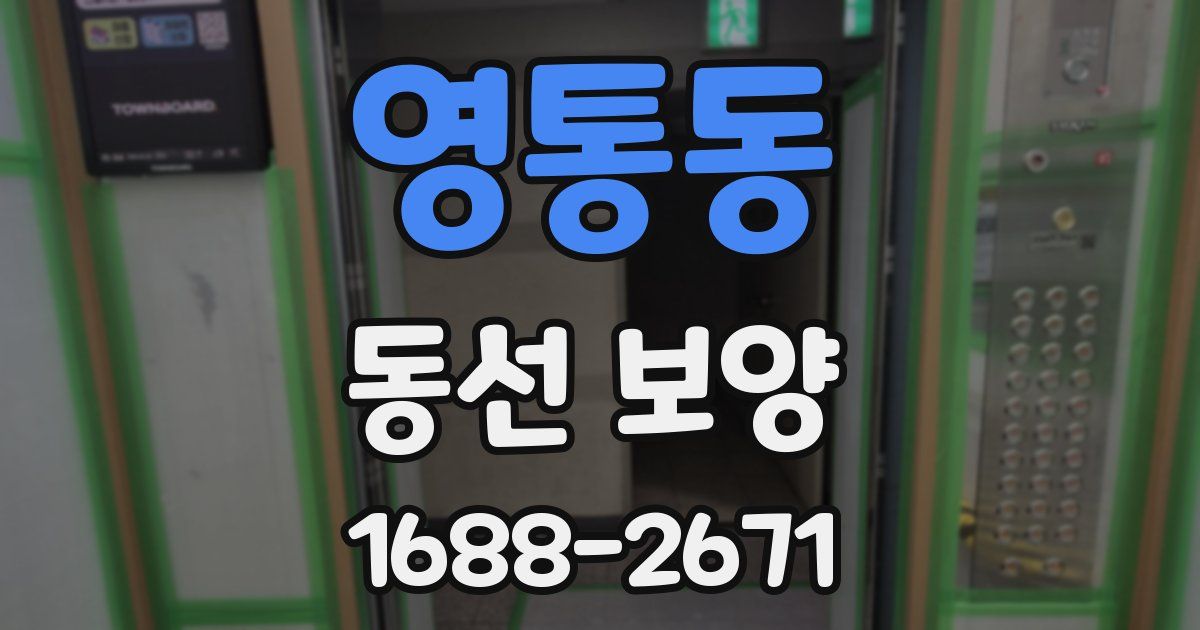 영통동 동선 보양