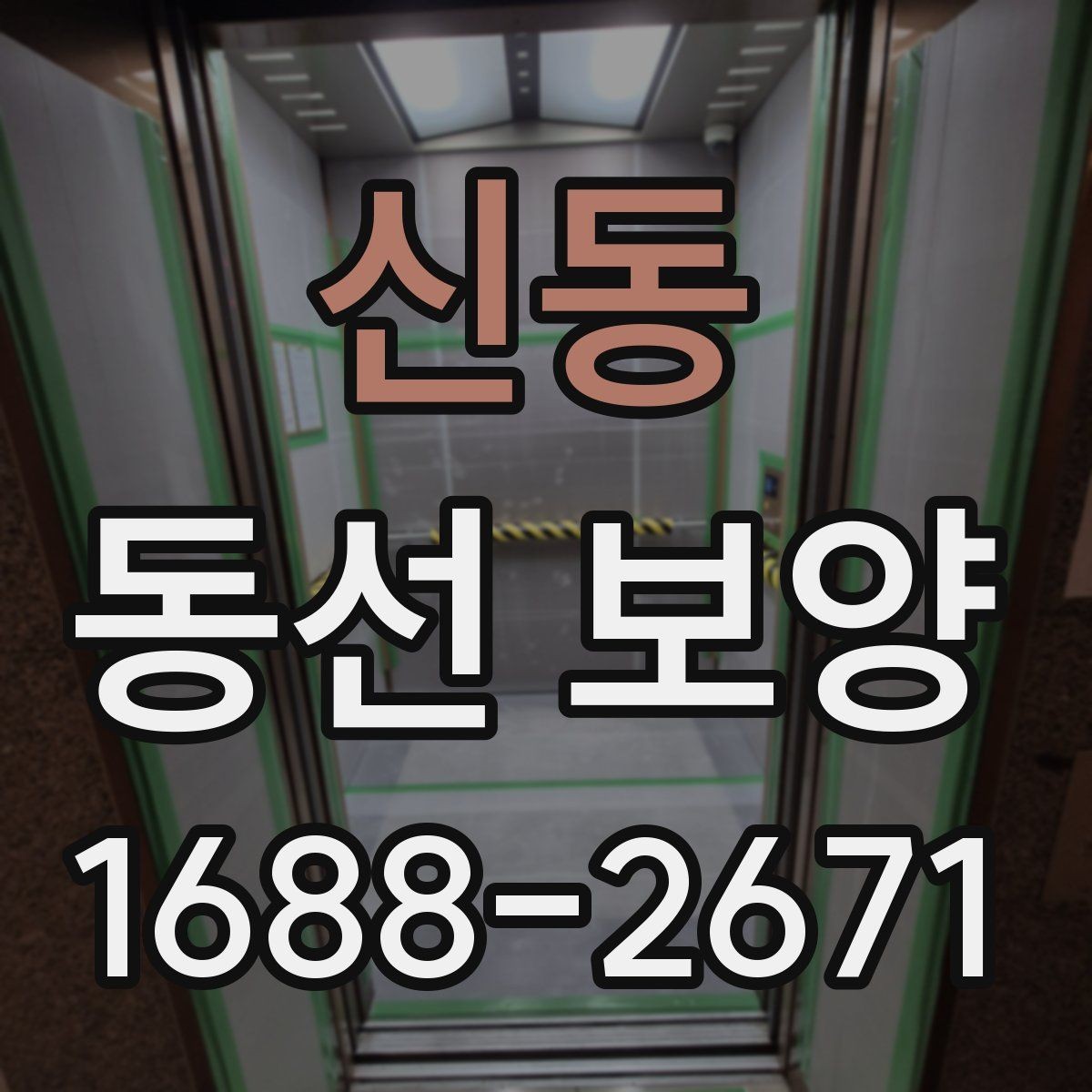 신동 동선 보양 현장별 일정 관리 팁