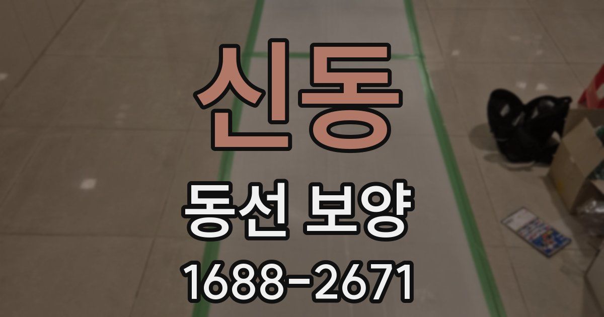 신동 동선 보양