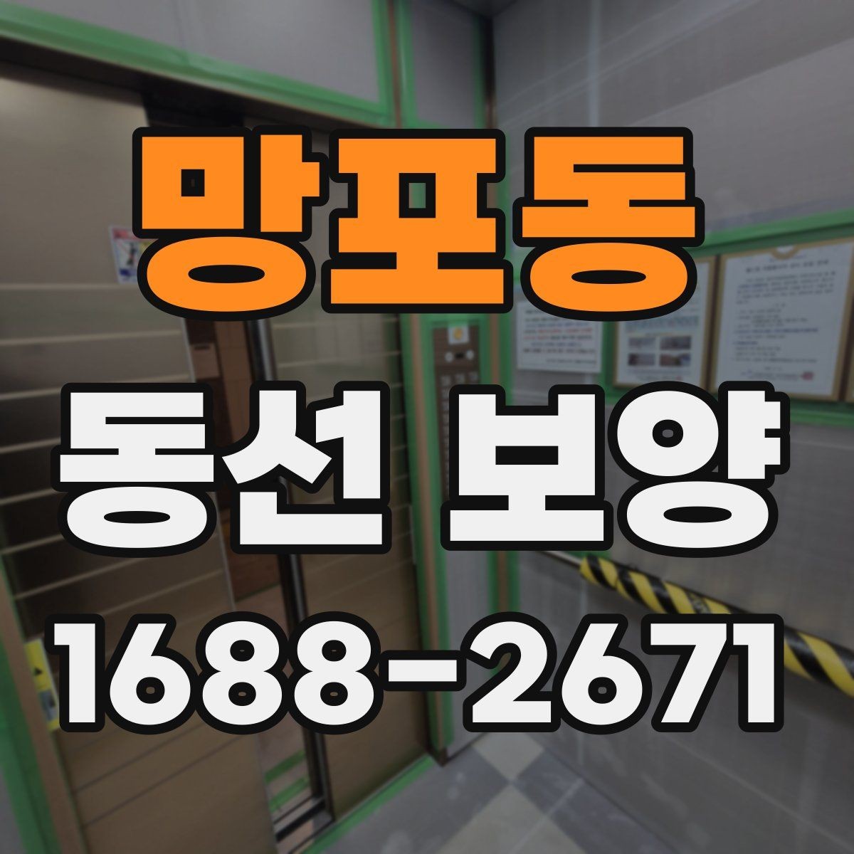망포동 동선 보양 후 확인해야 하는 마무리 점검