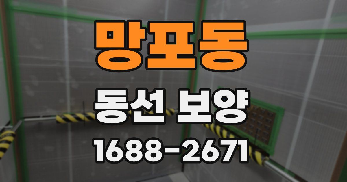 망포동 동선 보양