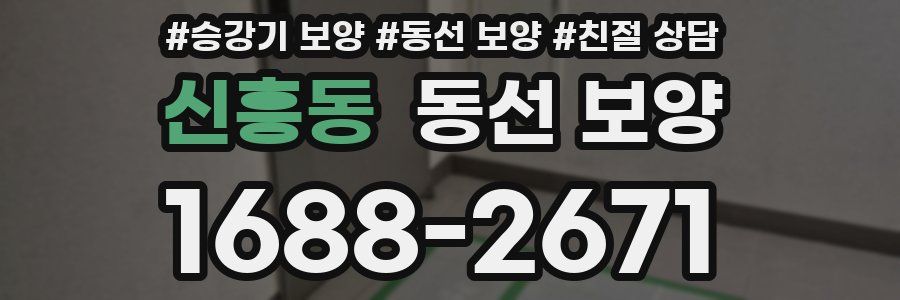 신흥동 동선 보양