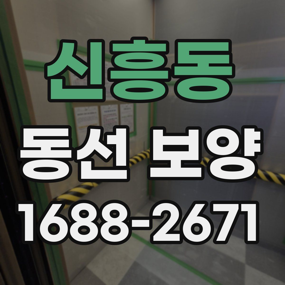 신흥동 동선 보양