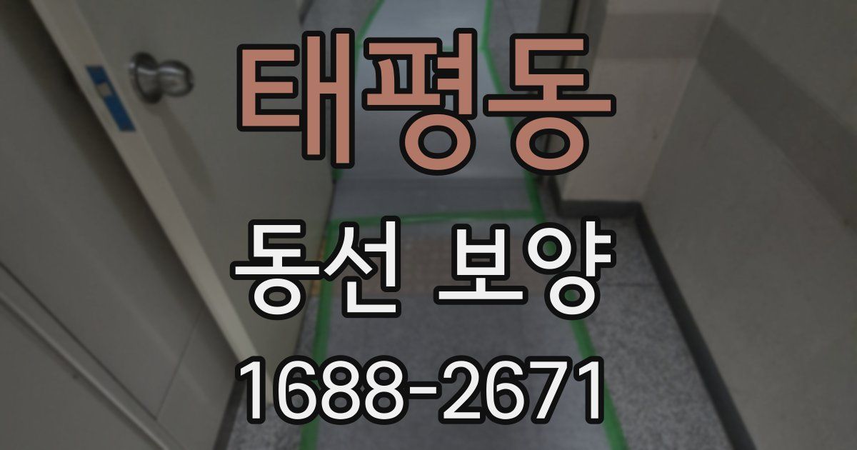 태평동 동선 보양