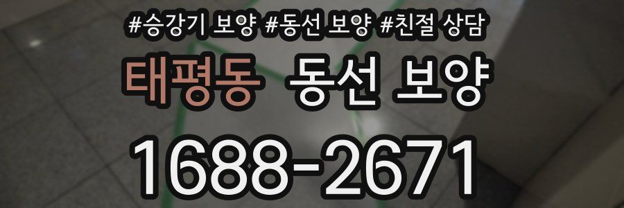 태평동 동선 보양