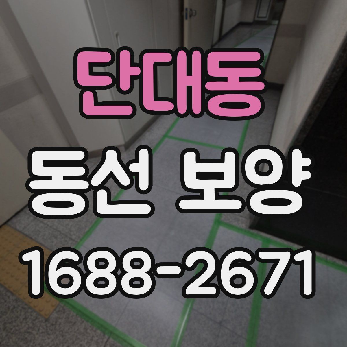 단대동 동선 보양 시 주의해야 할 안전과 동선 관리