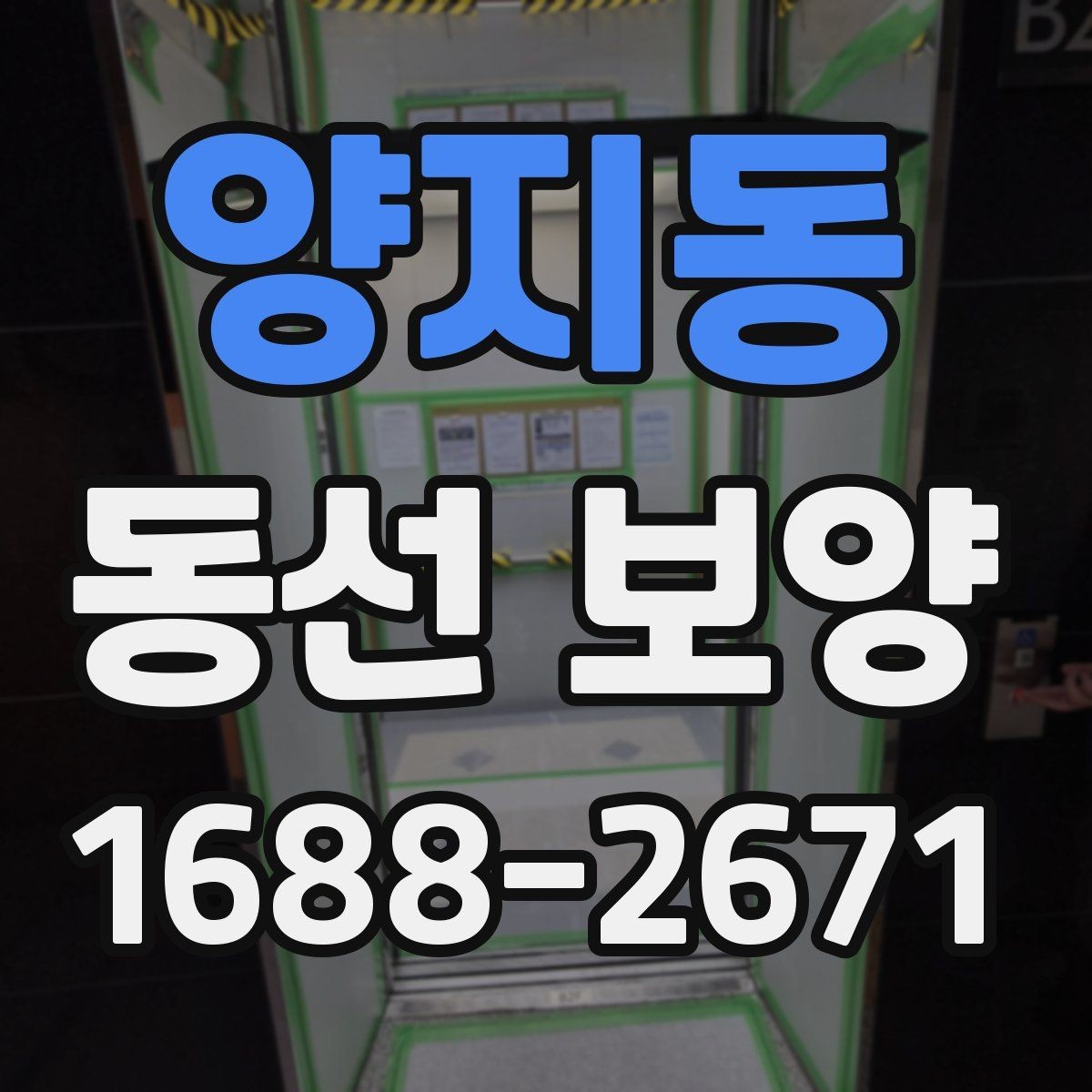양지동 동선 보양 공사에서 자주 생기는 실수