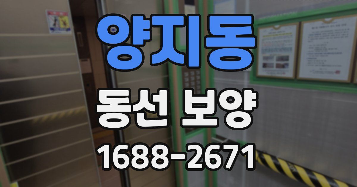 양지동 동선 보양