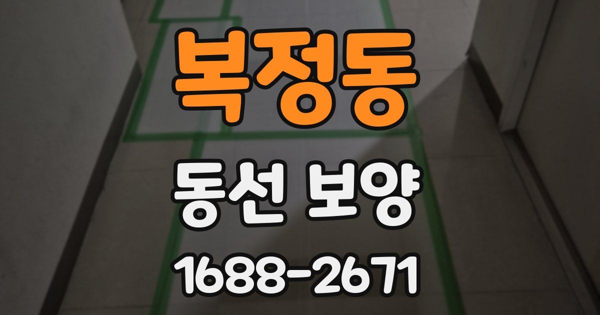 복정동 동선 보양