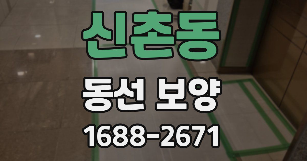 신촌동 동선 보양
