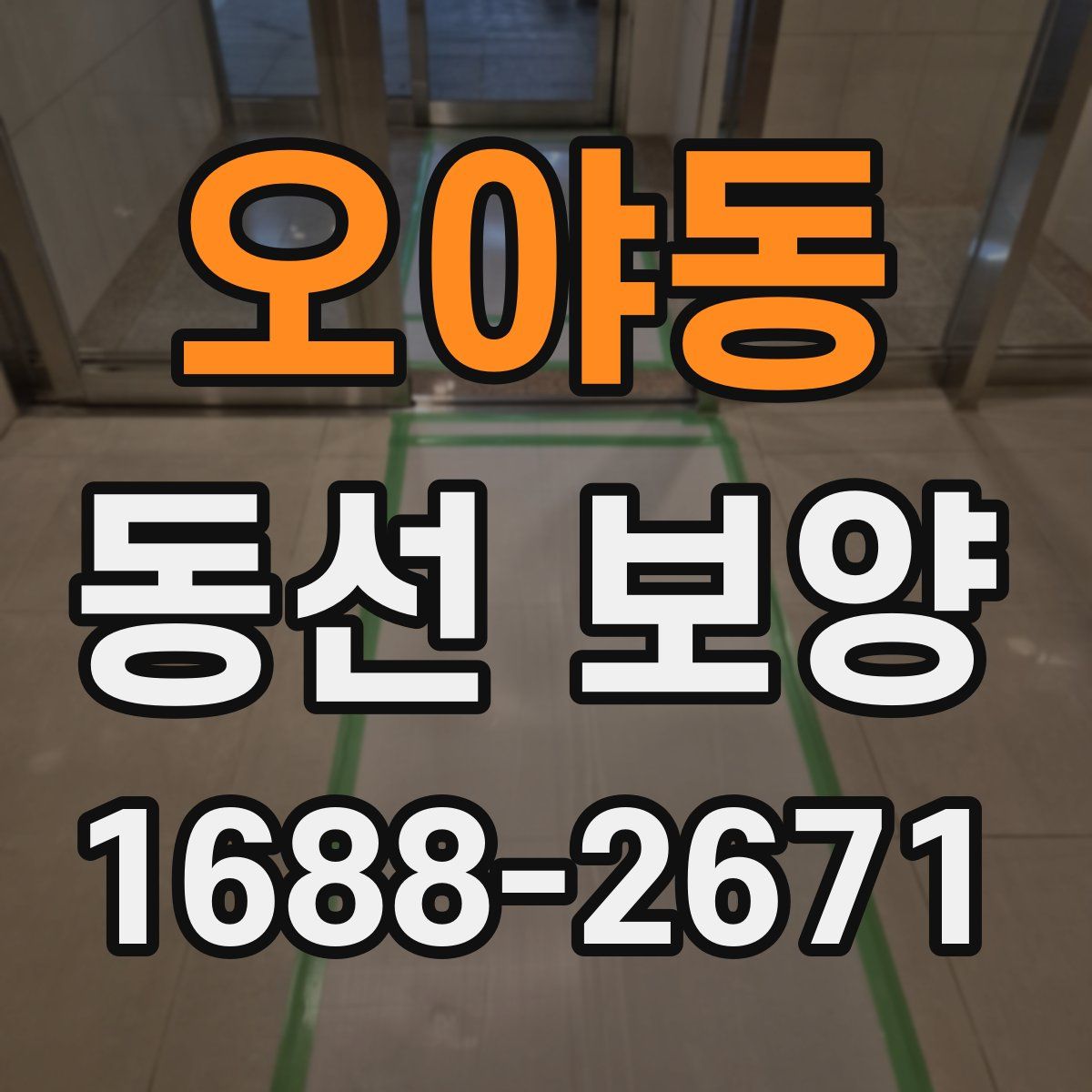 오야동 동선 보양