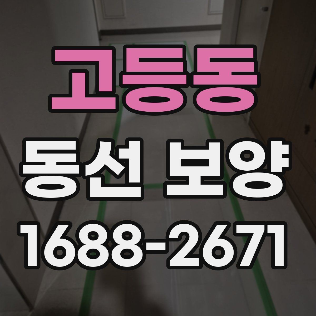 고등동 동선 보양 작업 후 손상 예방을 위한 관리법