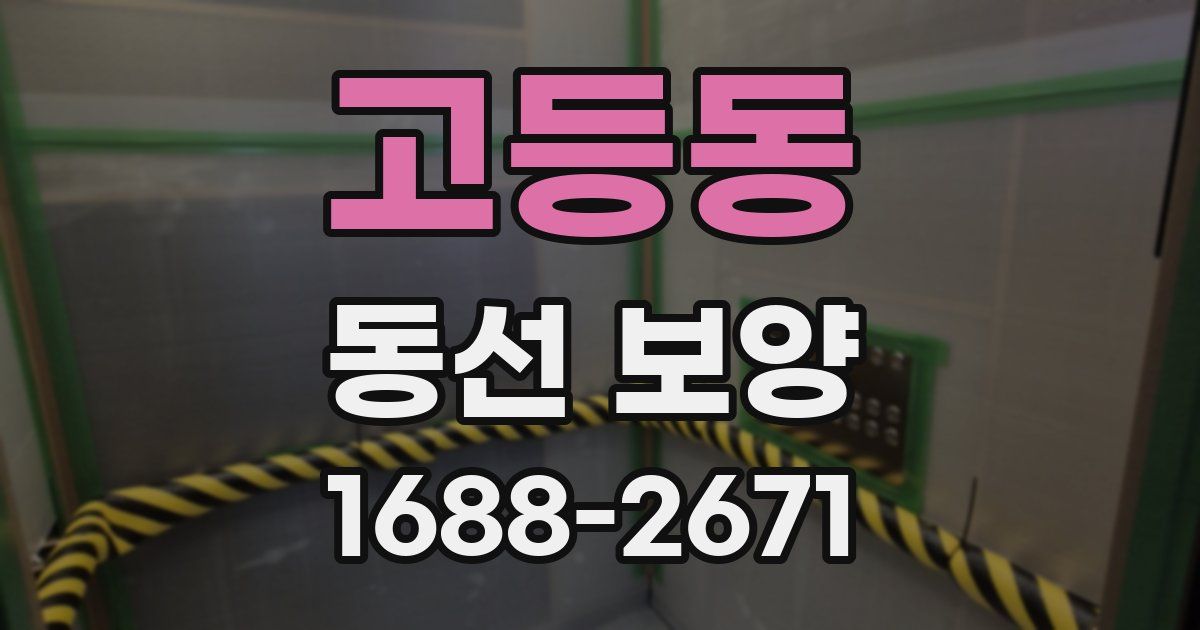 고등동 동선 보양