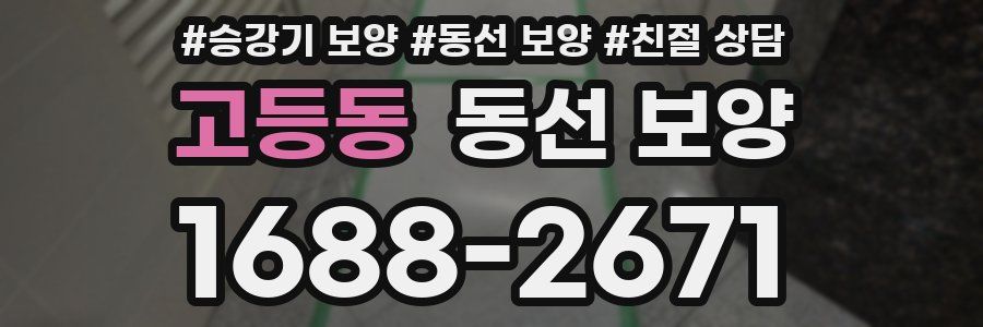 고등동 동선 보양
