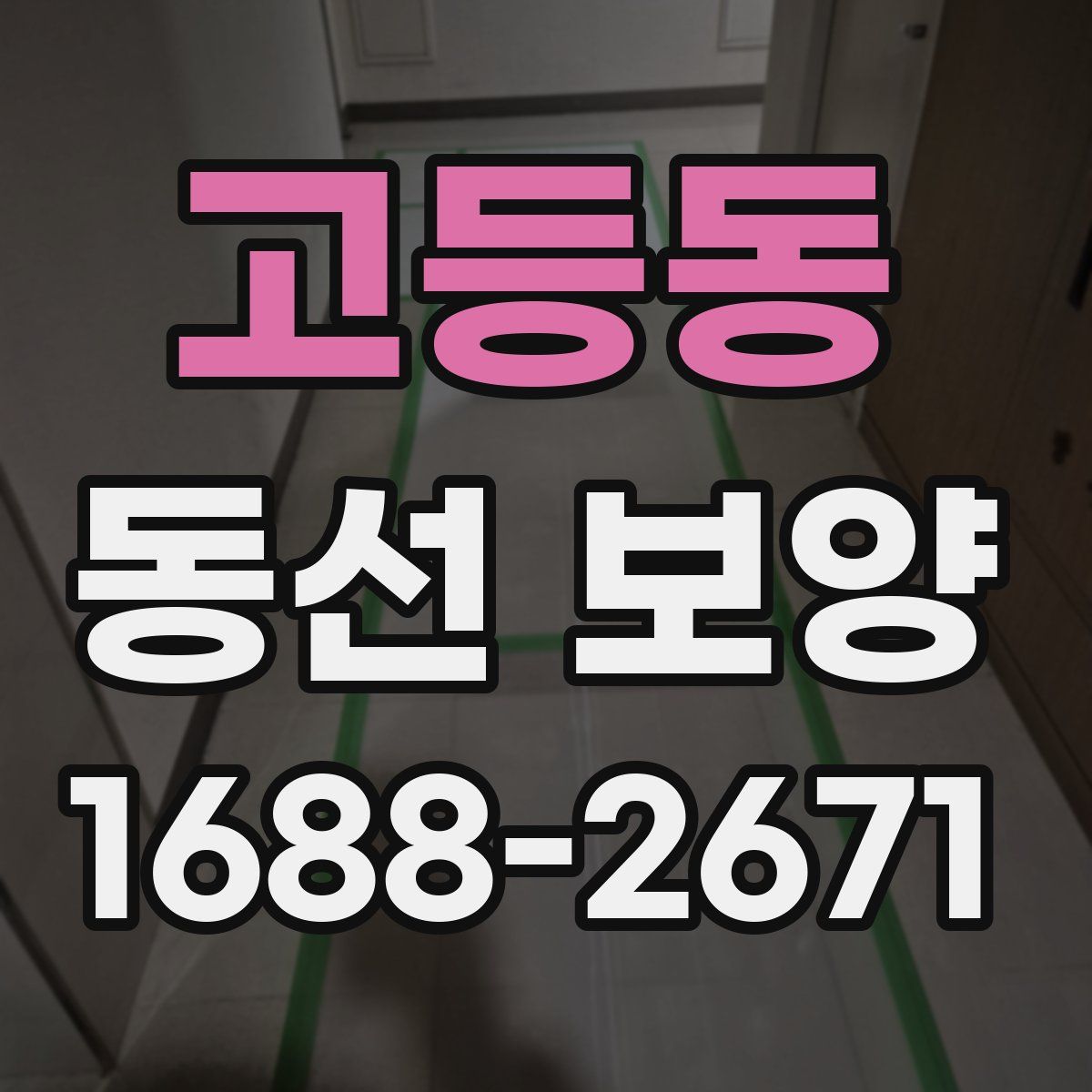 고등동 동선 보양