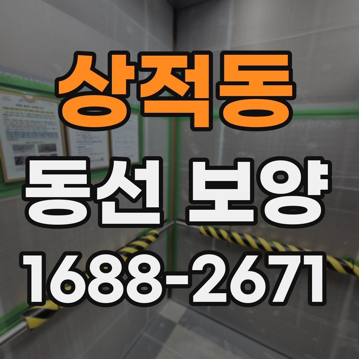 상적동 동선 보양 작업 전후 비교로 보는 변화