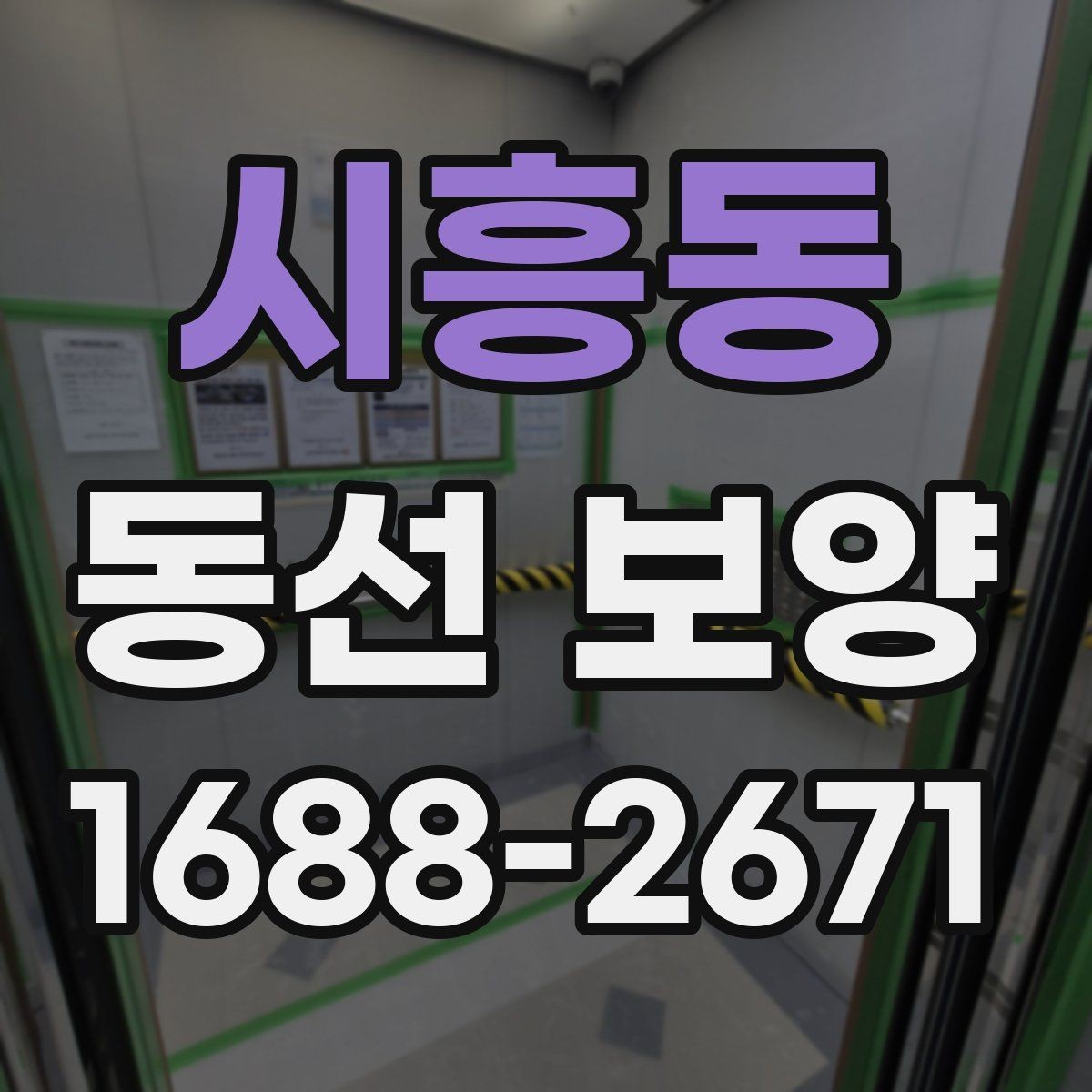 시흥동 동선 보양 작업 전 확인해야 할 공간 상태