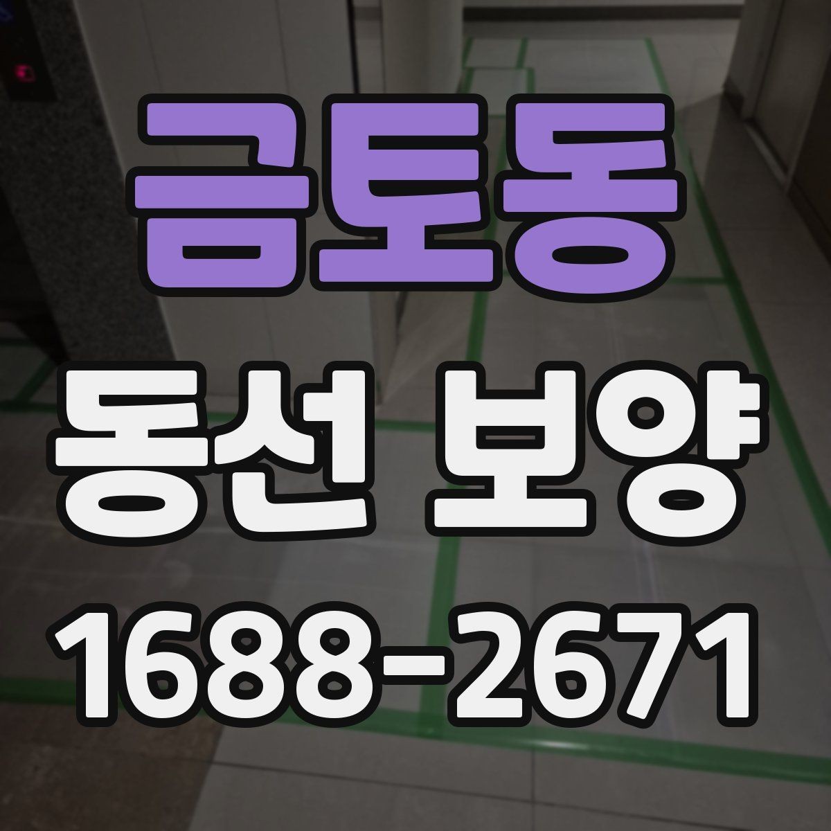 금토동 동선 보양 과정별 역할과 확인 포인트
