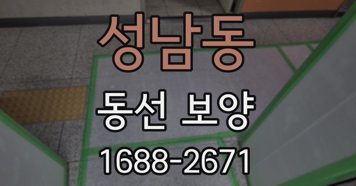 성남동 동선 보양