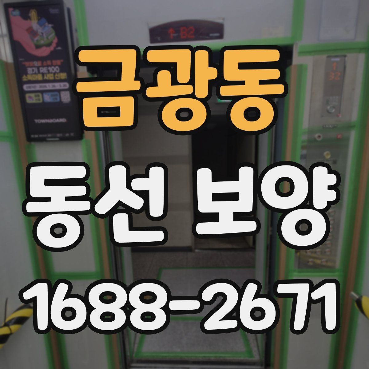 금광동 동선 보양 견적 비교할 때 살펴볼 포인트