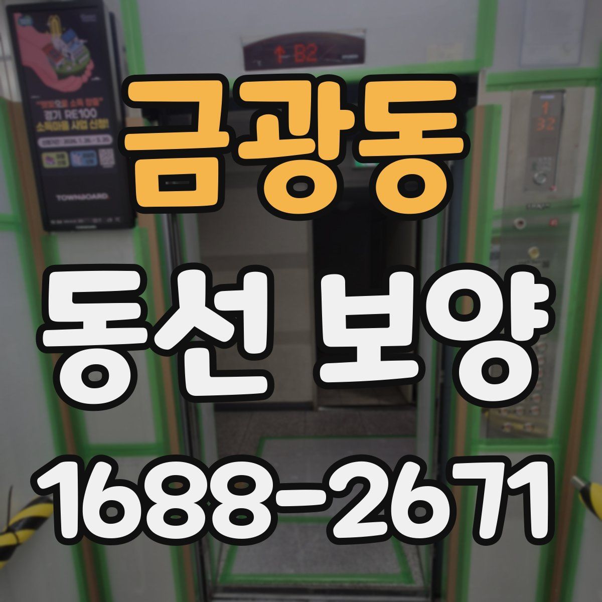 금광동 동선 보양