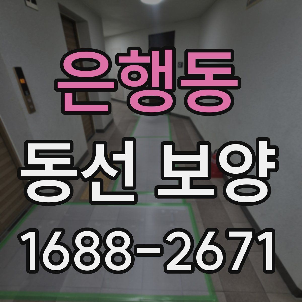 은행동 동선 보양 비용이 달라지는 요소들
