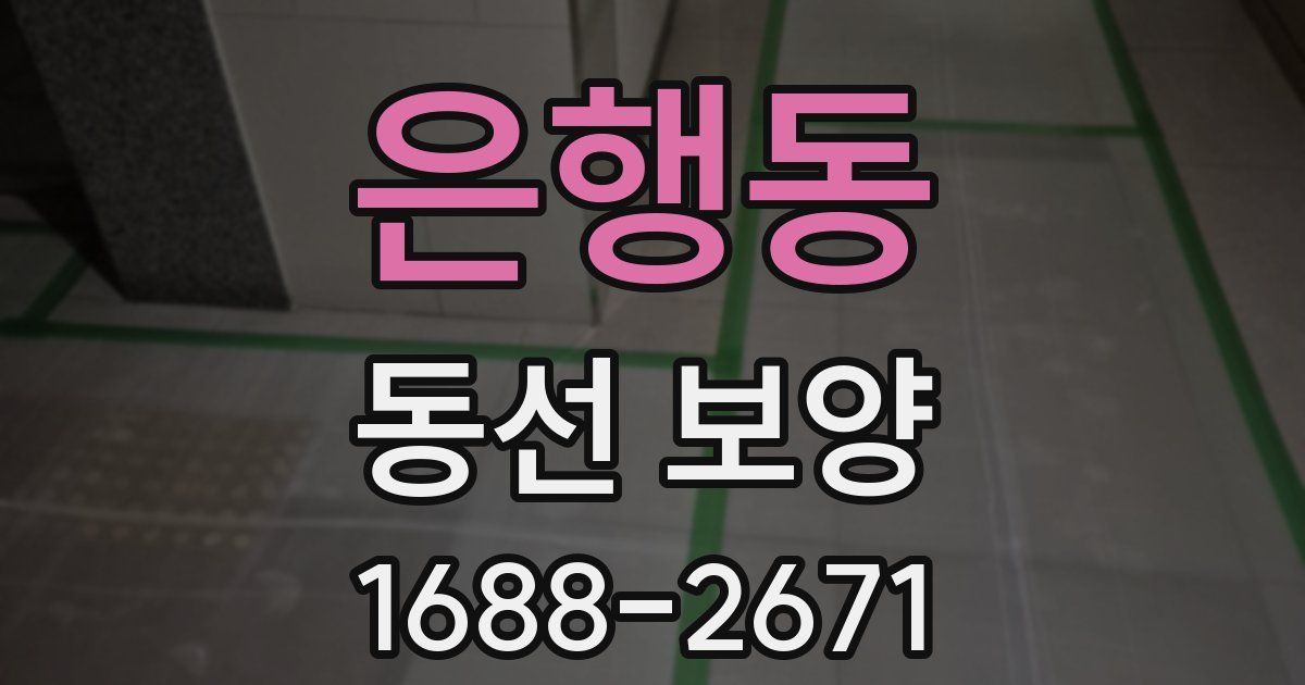 은행동 동선 보양