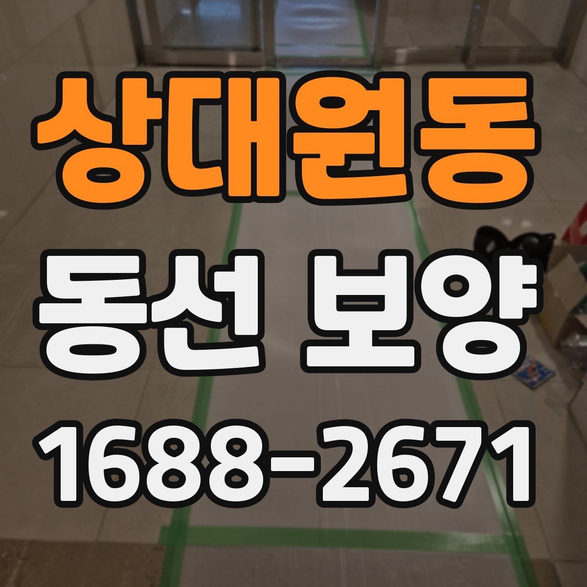 상대원동 동선 보양 적용 시기와 적절한 타이밍