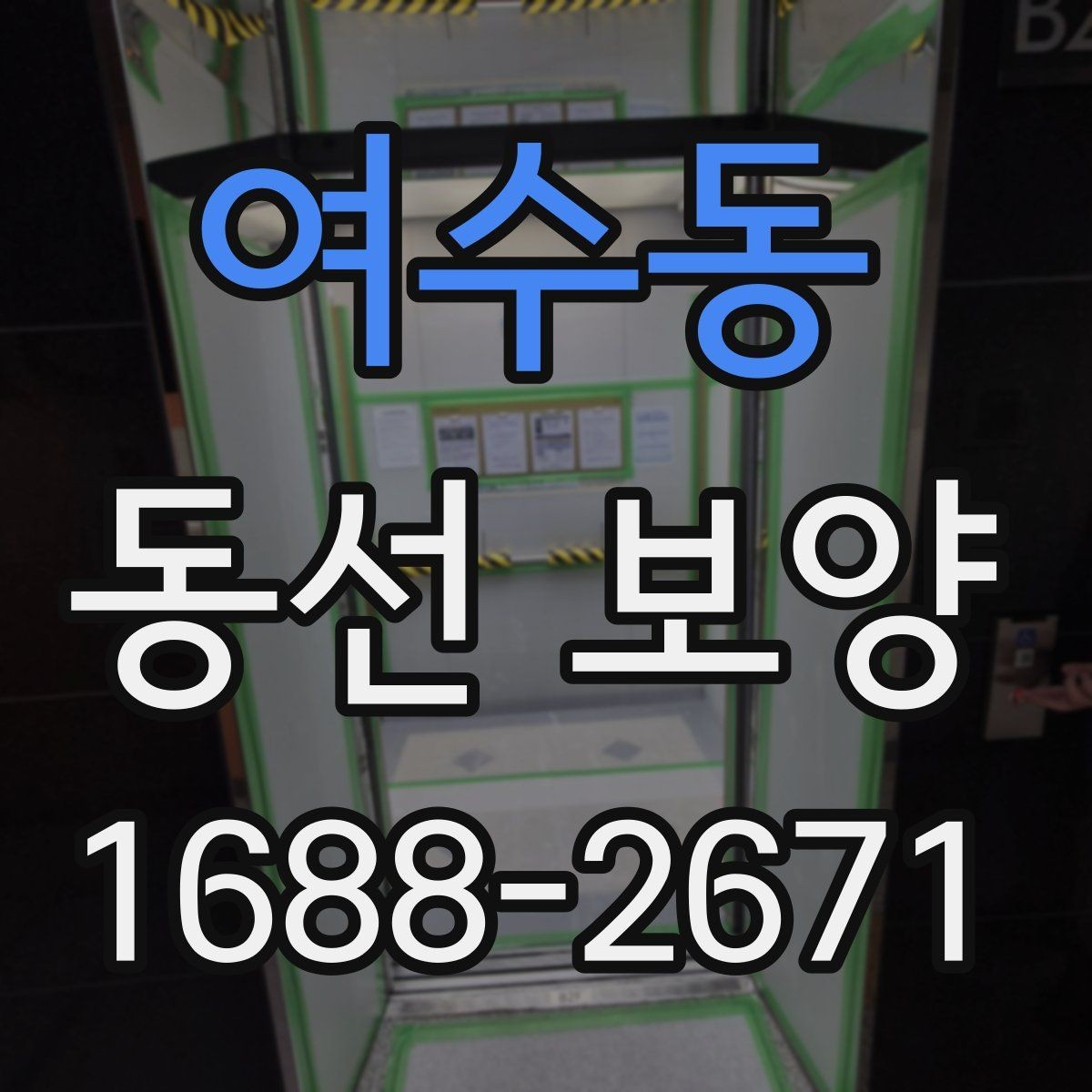 여수동 동선 보양 작업 순서를 이해하는 기본 안내