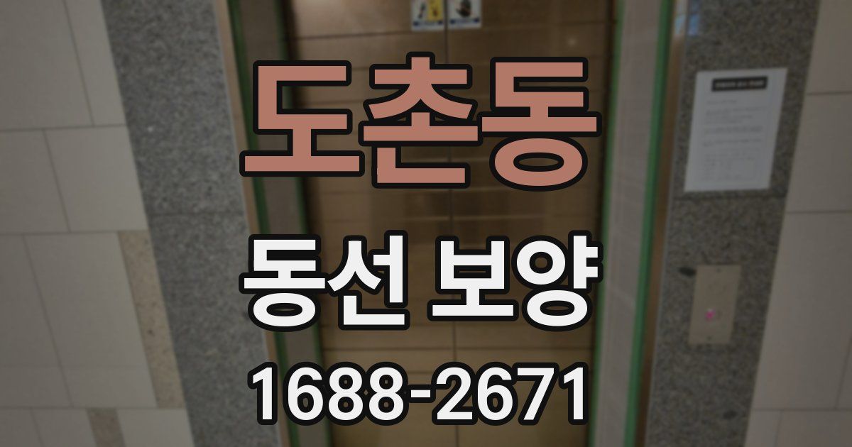 도촌동 동선 보양