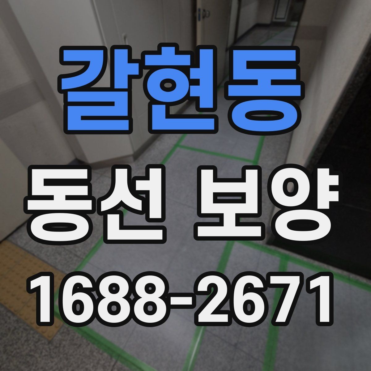 갈현동 동선 보양 과정에서 생길 수 있는 문제와 대응