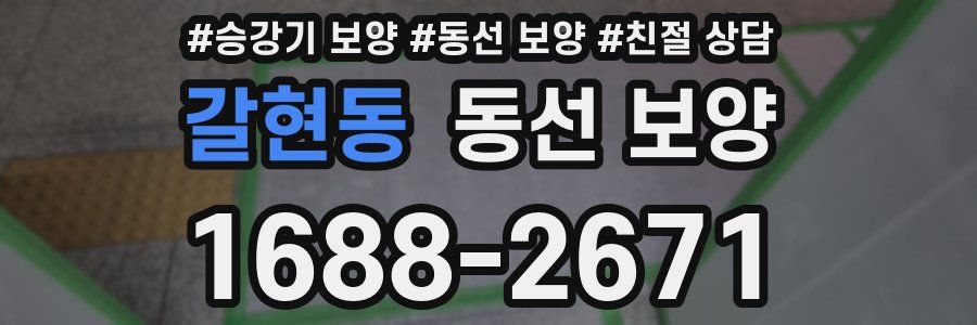 갈현동 동선 보양