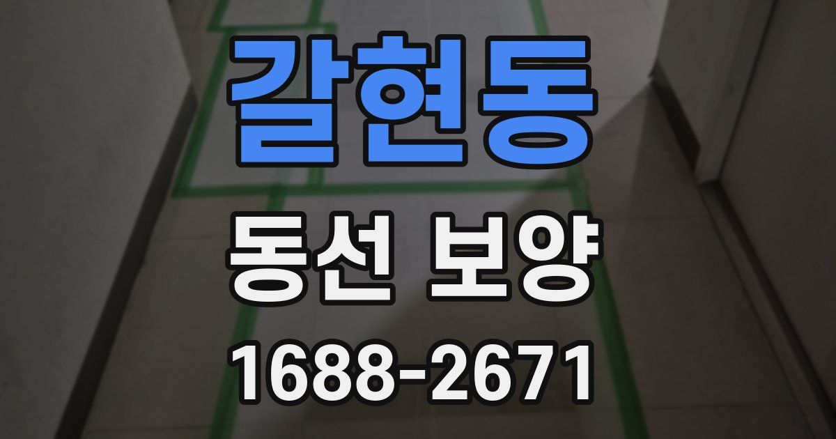 갈현동 동선 보양