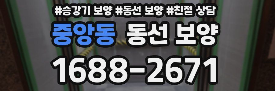 중앙동 동선 보양