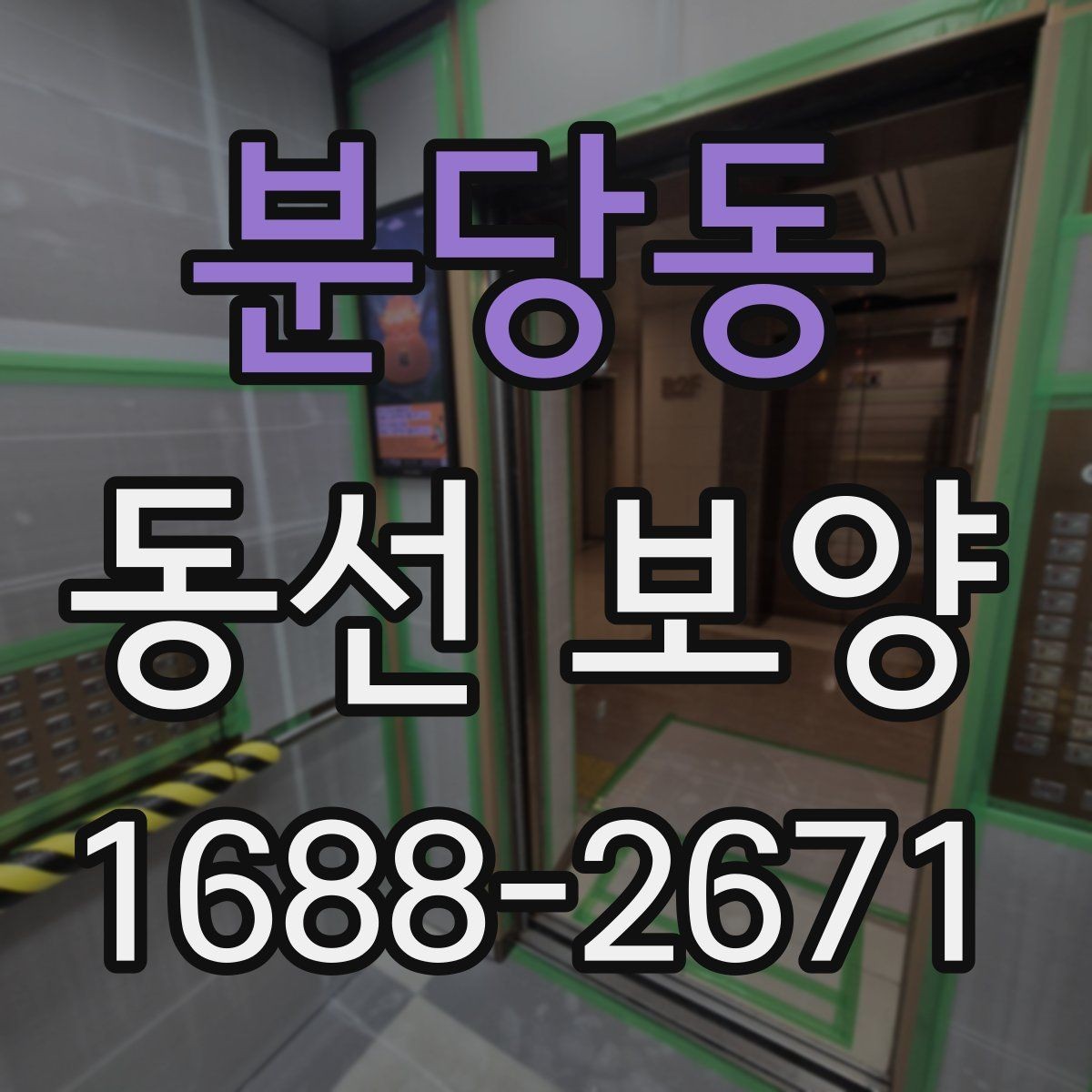분당동 동선 보양 자재별 특징과 활용 방법