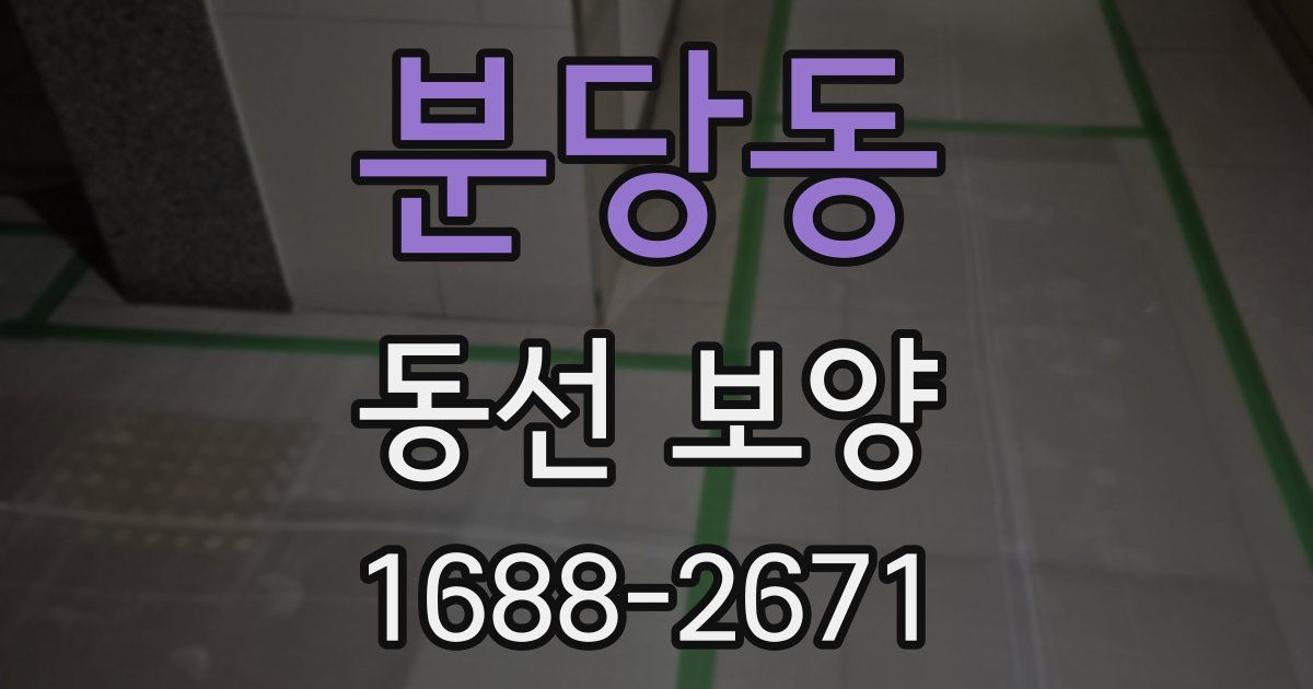 분당동 동선 보양