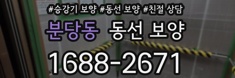 분당동 동선 보양