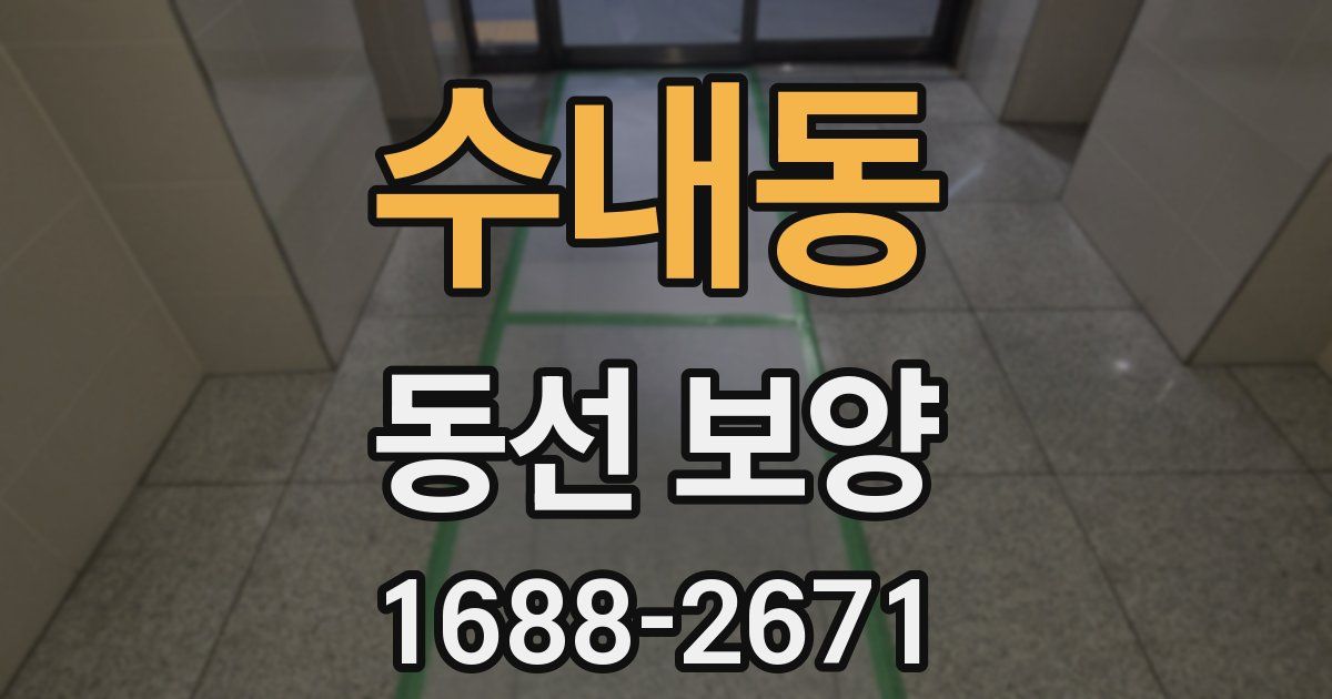 수내동 동선 보양