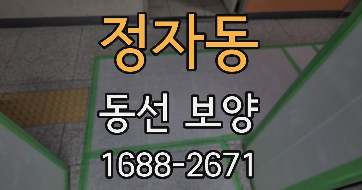 정자동 동선 보양