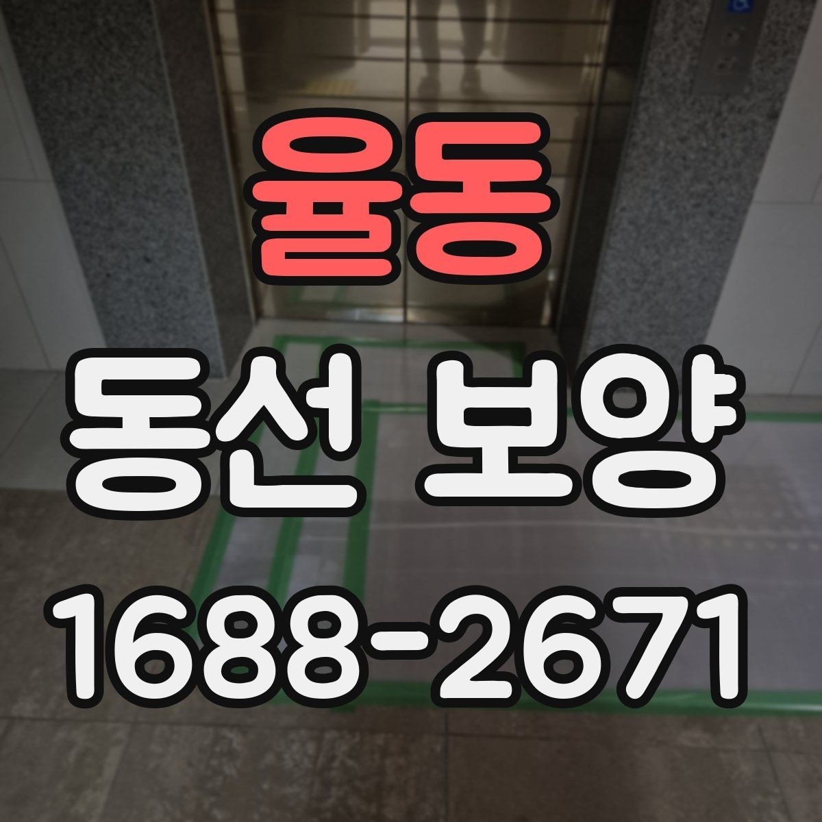 율동 동선 보양 작업 전 환경 정리와 준비 요령