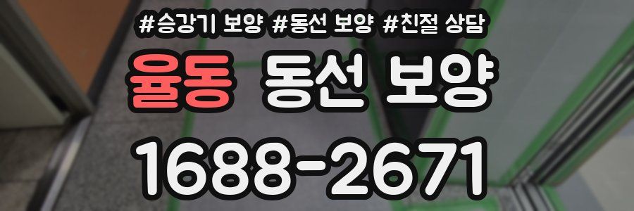율동 동선 보양