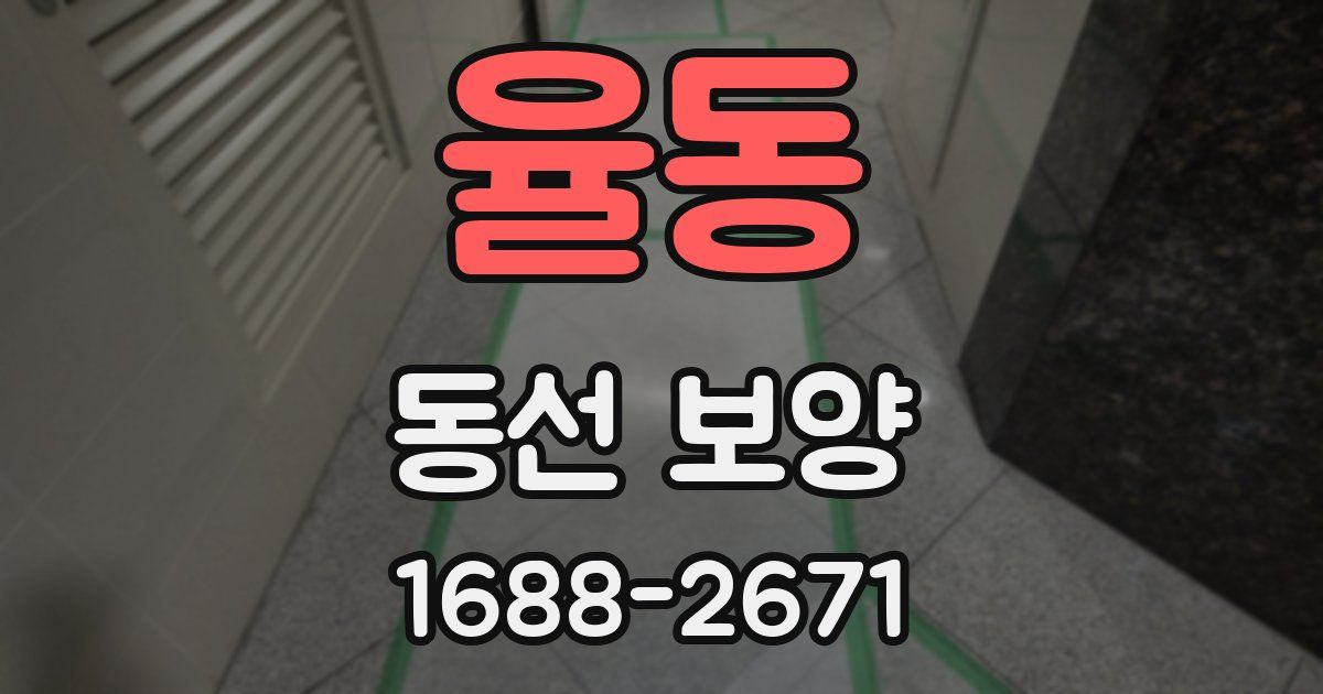 율동 동선 보양