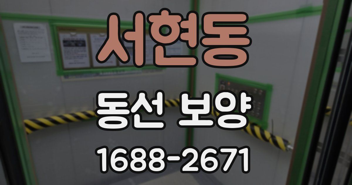 서현동 동선 보양