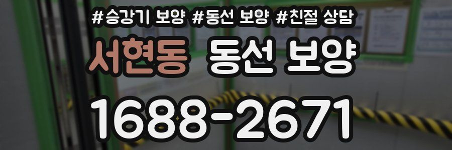 서현동 동선 보양